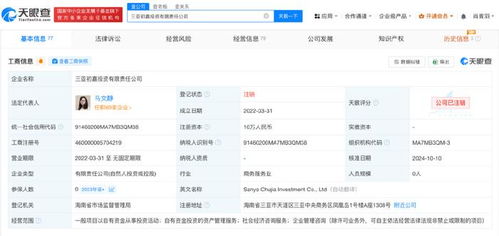 雷军持股三亚初嘉投资公司注销 聚焦自有资金管理